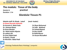 Glandular Epithelium: Cells Derived from Epithelium and Specialized for Secretion