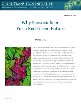 Why Ecosocialism: for a Red-Green Future