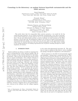 Cosmology in the Laboratory: an Analogy Between Hyperbolic Metamaterials and the Milne Universe