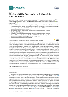 Checking Neks: Overcoming a Bottleneck in Human Diseases