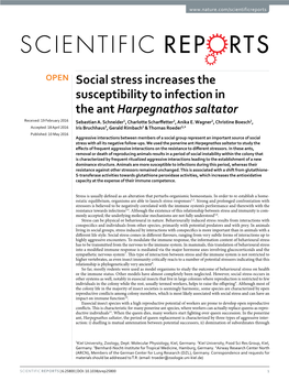 Social Stress Increases the Susceptibility to Infection in the Ant Harpegnathos Saltator Received: 19 February 2016 Sebastian A