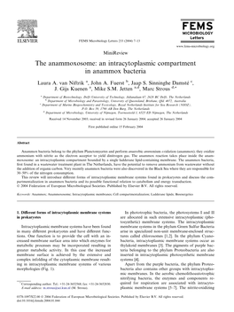 An Intracytoplasmic Compartment in Anammox Bacteria