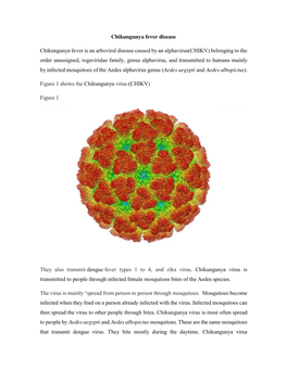 Chikungunya Fever Disease Chikungunya Fever Is