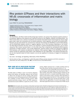 Rho Protein Gtpases and Their Interactions with Nfκb: Crossroads of Inﬂammation and Matrix Biology