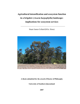 Agricultural Intensification and Ecosystem Function in a Brigalow (Acacia Harpophylla) Landscape: Implications for Ecosystem Services
