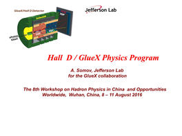 Hall D / Gluex Physics Program