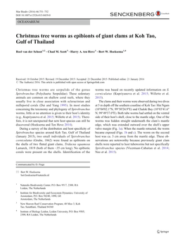 Christmas Tree Worms As Epibionts of Giant Clams at Koh Tao, Gulf of Thailand