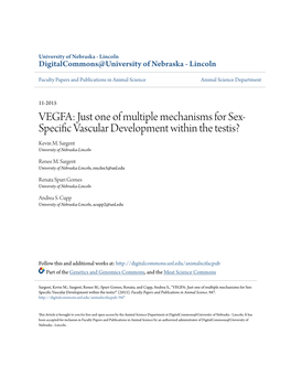 VEGFA: Just One of Multiple Mechanisms for Sex- Specific Av Scular Development Within the Testis? Kevin M