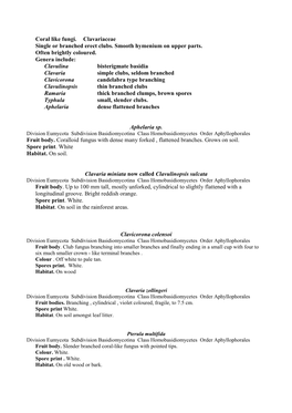Coral Like Fungi. Clavariaceae Single Or Branched Erect Clubs. Smooth Hymenium on Upper Parts