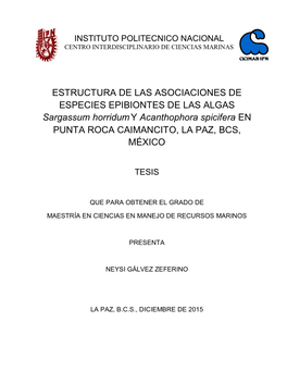 Estructura De Las Asociaciones De Especies Epibiontes De Las Algas