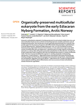 Organically-Preserved Multicellular Eukaryote from the Early Ediacaran Nyborg Formation, Arctic Norway Received: 30 November 2018 Heda Agić 1,2, Anette E