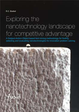 Exploring the Nanotechnology Landscape for Competitive Advantage