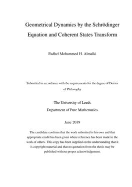 Geometrical Dynamics by the Schr¨Odinger Equation and Coherent