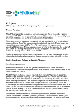 XPC Gene XPC Complex Subunit, DNA Damage Recognition and Repair Factor