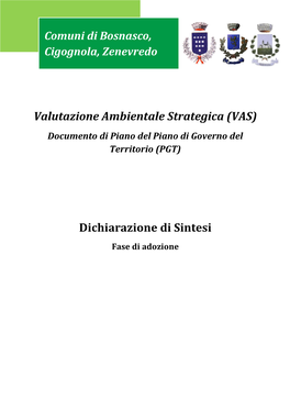 Valutazione Ambientale Strategica (VAS) Dichiarazione Di Sintesi