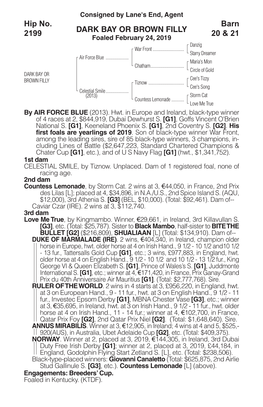 DARK BAY OR BROWN FILLY Barn 20 & 21 Hip No. 2199