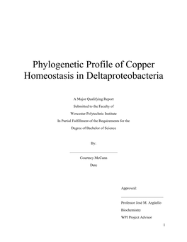 Phylogenetic Profile of Copper Homeostasis in Deltaproteobacteria