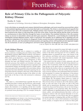 Role of Primary Cilia in the Pathogenesis of Polycystic Kidney Disease