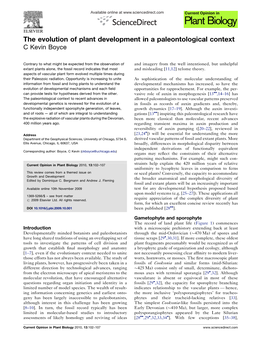 The Evolution of Plant Development in a Paleontological Context C Kevin Boyce