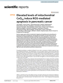 Elevated Levels of Mitochondrial Coq10 Induce ROS-Mediated