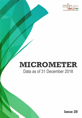 Micrometer Q3 18-19 23 Feb Final