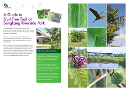 Fruit Tree Trail at Sengkang Riverside Park