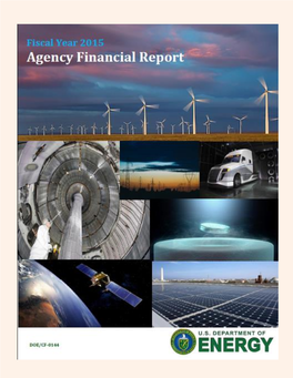 Draft FY 2012 Agency Financial Report