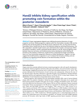 Hand2 Inhibits Kidney Specification While Promoting Vein Formation