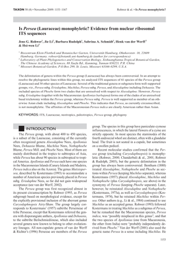 Is Persea (Lauraceae) Monophyletic? Evidence from Nuclear Ribosomal ITS Sequences