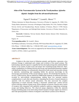 Atlas of the Neuromuscular System in the Trachymedusa Aglantha Digitale: Insights from the Advanced Hydrozoan