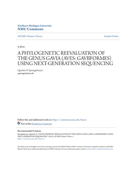 A PHYLOGENETIC REEVALUATION of the GENUS GAVIA (AVES: GAVIIFORMES) USING NEXT-GENERATION SEQUENCING Quentin D