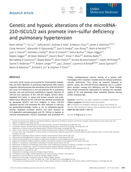 Genetic and Hypoxic Alterations of the Microrna210iscu12 Axis Promote