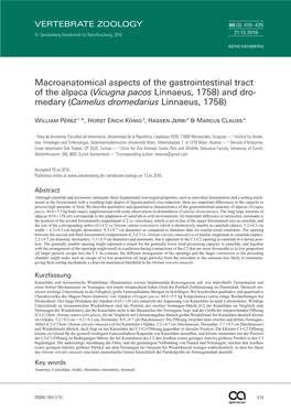 Macroanatomical Aspects of the Gastrointestinal Tract of the Alpaca (Vicugna Pacos Linnaeus, 1758) and Dro- Medary (Camelus Dromedarius Linnaeus, 1758)