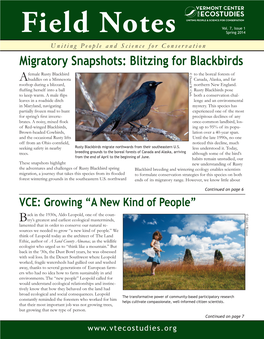 Spring 2014 from Rusty Blackbirds to Big