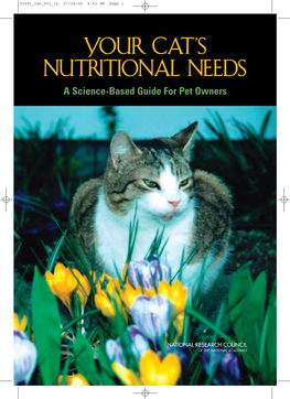 Your Cat's Nutritional Needs