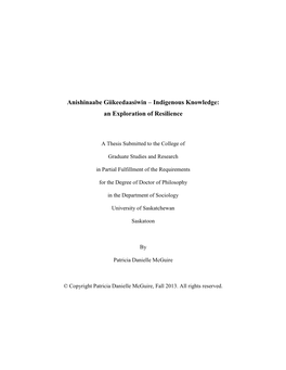 MCGUIRE-DISSERTATION.Pdf