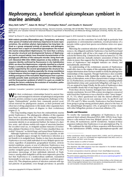 Nephromyces, a Beneficial Apicomplexan Symbiont in Marine