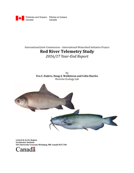 Diversion of American Shad Using Ultrasound