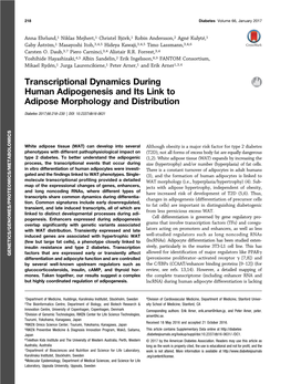 Transcriptional Dynamics During Human Adipogenesis and Its Link to Adipose Morphology and Distribution