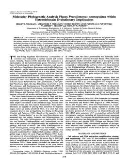 Molecular Phylogenetic Analysis Places Percolomonas Cosmopolites