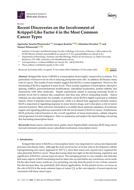 Recent Discoveries on the Involvement of Krüppel-Like Factor 4 in the Most Common Cancer Types