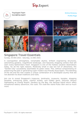 Singapore Travel Essentials