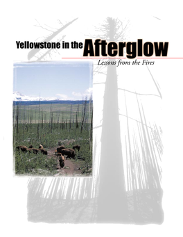 Yellowstone in the Afterglow: Lessons from the Fires