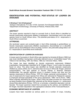 Identification and Potential Pest-Status of Looper on Avocado