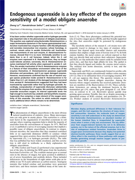 Endogenous Superoxide Is a Key Effector of the Oxygen Sensitivity of a Model Obligate Anaerobe