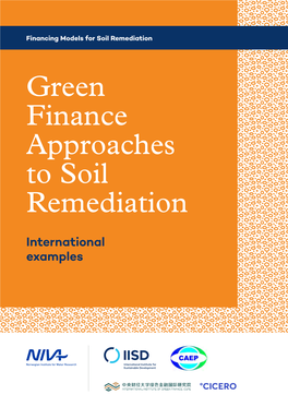 Green Finance Approaches to Soil Remediation: International Examples