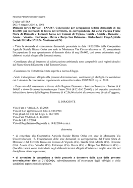 Codice A1816A D.D. 9 Maggio 2016, N. 1061 Demanio Idrico Fluviale - CNA767