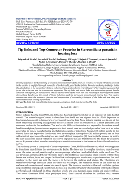 A Pursuit I Hearing Loss Stereocilia