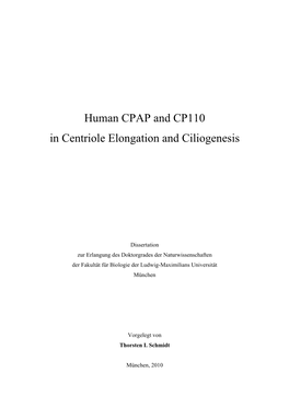 Human CPAP and CP110 in Centriole Elongation and Ciliogenesis