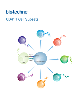 CD4+ T Cell Subsets